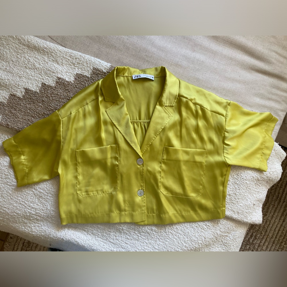 Zara button up crop top